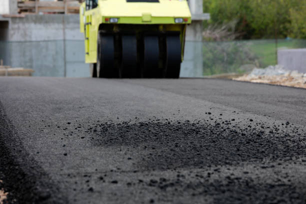 Best Local Driveway Pavers  in East Bethel, MN